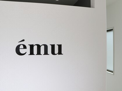 エミュ(emu)の写真
