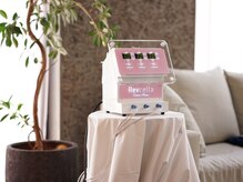 パンパラソル(Pin Parasol)