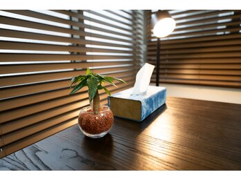 バレルメディカル研究所 恵比寿/カウンセリングテーブル5