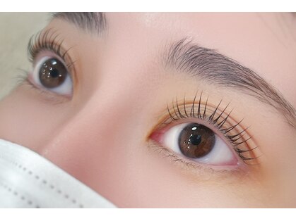 デイリー ラッシュ(DAILY LASH)の写真