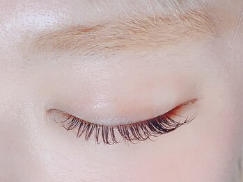 レーヴ アイラッシュ(Reve eyelash)/Eyelash