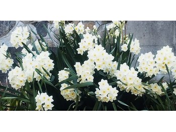 リカ/お寺に行く途中の道