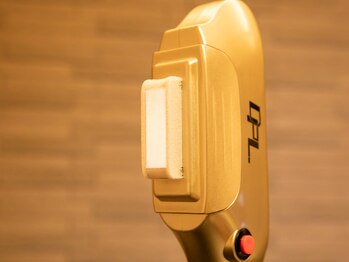 ルピナス(Lupinus.)/冷却機能抜群!痛み軽減♪