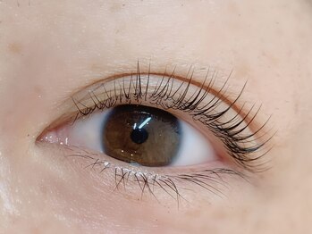 ダズル(DAZZLE)/Sカール