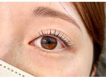 サクサク(sakusaku)