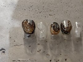 シンプルコレクション