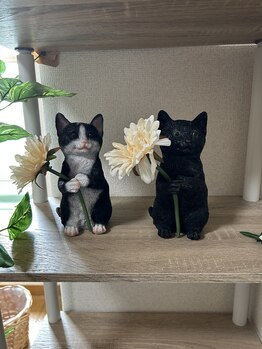 癒しっぽ/招き猫たち