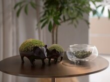 ビープラス(B-PLUS)/よもぎ蒸し/眼精疲労/毛穴ケア