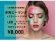 イエロー(yellow.)の写真