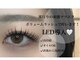 アイラッシュサロン サラ(sara)の写真