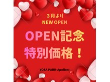 ヨサパーク アポロン(YOSA PARK Apollon)