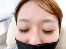 ルピナス(Lupinus)/ボリュームラッシュ500本下30本