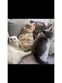 ラシク ベル(Lashiku Belle) ネコ3匹飼ってます!保護猫2匹もとても良い子で可愛い♪