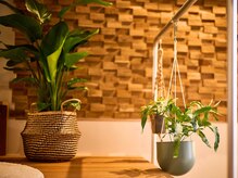 オクタボー 南青山店(OCTAVO)/目に入るものは自然のものに