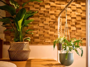 オクタボー 南青山店(OCTAVO)/目に入るものは自然のものに