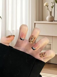 定額¥5880