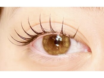 ルッカ(Lucca.t)/フラットラッシュ　160本