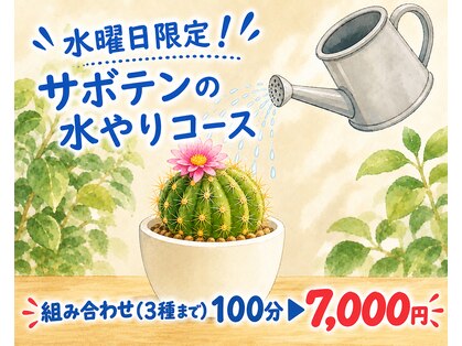 仙人掌の写真