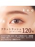 【ご新規様限定】フラットラッシュ120本コーティング付￥6600→￥4950
