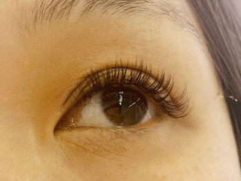 トータルビューティー ティナ(Total Beuty Tina)/メガフラットラッシュ80束