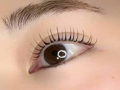 エース(ace)の写真