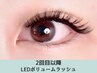 2回目以降★ LEDボリュームラッシュ300本（100束前後）　9800円
