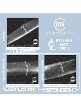 プティカラン(Petite Calin)/※マイラミネーション公式引用