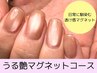 うる艶上品マグネット×自爪育成ケアコース(パラジェル・フィルイン）