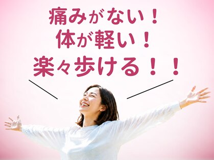 アオ(ao)の写真
