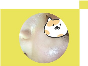 キュアフロウ 新潟巻/ヘルシー&ビューティー（6）