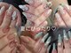 トゥートゥー(TOUTOU)の写真