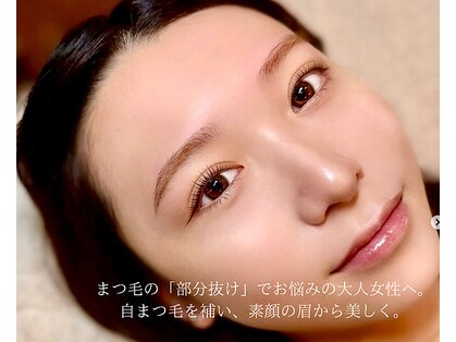 ヤナギ(yanagi)の写真