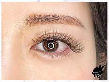 バニーラッシュ(Bunny Lash)/【ボリュームラッシュ】