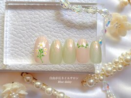 過去の定額アートコース