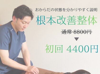 ポーノ(po-no)の写真