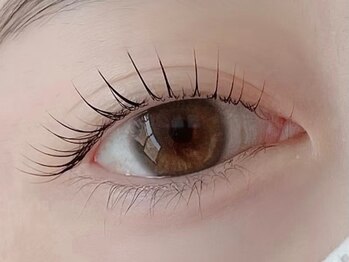 アリータ(ALITA)/目尻垂れ目分まつげパーマ