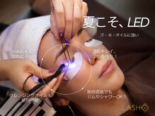 プティパ(Petit pas)の雰囲気（モチUP♪世界基準のLED導入）