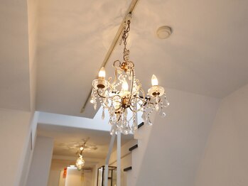 ピーティービューティー(PTBeauty)/店内風景