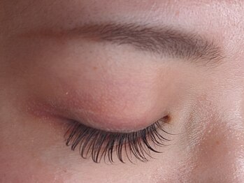 リアン(Lien)/フラットラッシュ