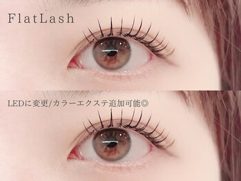 アニュー 目黒(ANEW)/フラットラッシュ120本