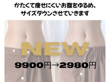 バーテックスキー(Vertexkey)/お腹の贅肉には