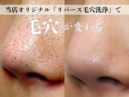 シャルトルズ 広島八丁堀店の写真