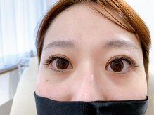 ルピナス(Lupinus)/ボリュームラッシュ500本下30本