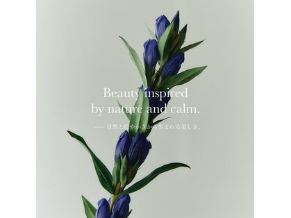 カーム(Calm)の写真