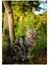 【まつ毛パーマ・マツエク・パリジェンヌ】F&T eyelash salon 郭 サン