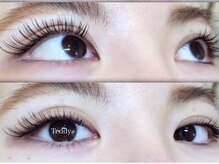 テディプラス(Teddy+)/フラットラッシュ90分コース