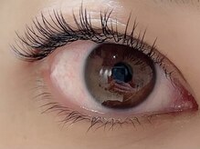 カラン 焼津店(CALIN)/フラットラッシュ100本