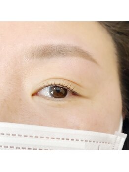 フランセス(Frances)/眉＆ラッシュリフト