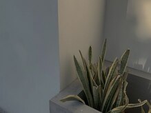 ヨヘン 芦屋店(YoHen)/