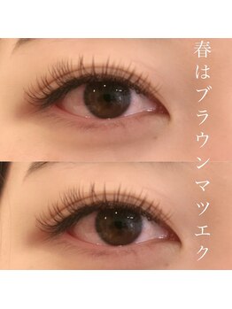 アクエリエス(Aquarius)/flatlash140本